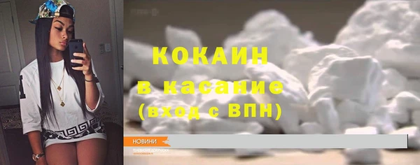 индика Аркадак
