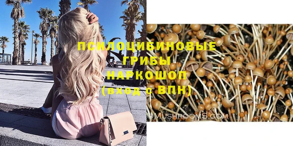 таблы Арсеньев