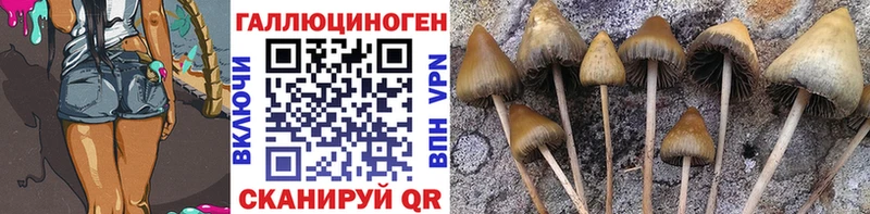 Галлюциногенные грибы прущие грибы  Купить где  Краснокаменск 